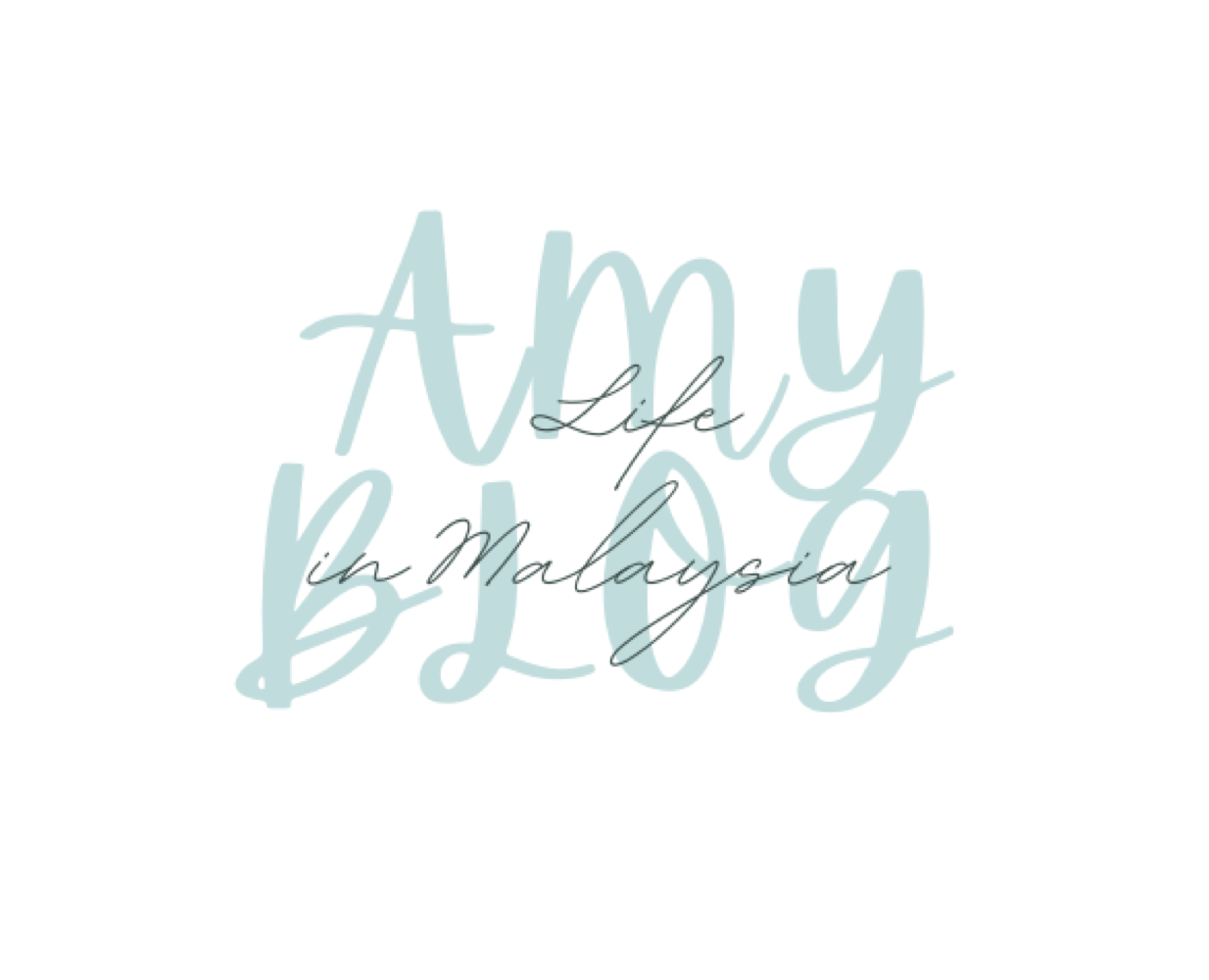 Amy blog